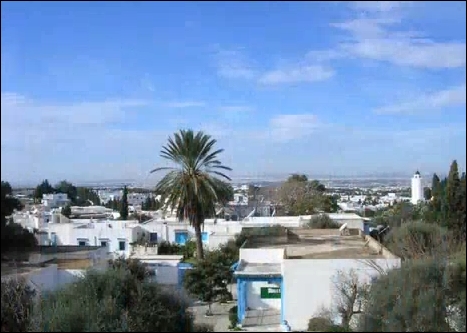 Столица Тунис. Обзор достопримечательностей. Туризм